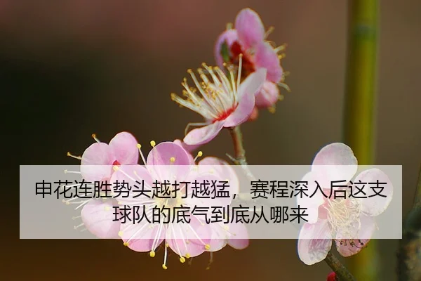 shen-hua-lian-sheng-shi-tou-yue-da-yue-meng-sai-cheng-shen-ru-hou-zhe-zhi-qiu-dui-de-di-qi-dao-di-cong-na-lai-2-925.jpg