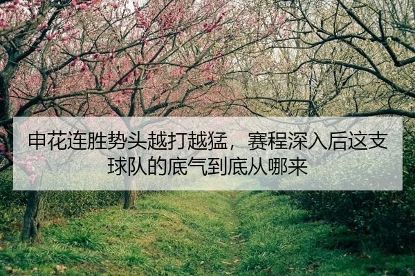 申花连胜势头越打越猛，赛程深入后这支球队的底气到底从哪来